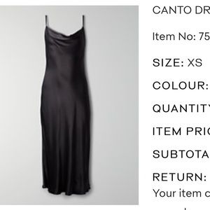 Aritzia Canto Dress (Wilfred)